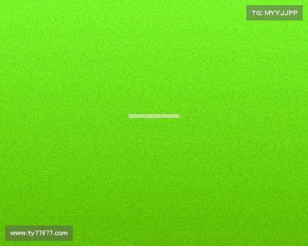 蜘蛛巧妙收网背后隐藏的生存智慧与生态意义