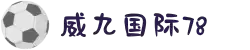 78m威九国际(集团)中国区有限公司-BinG百科